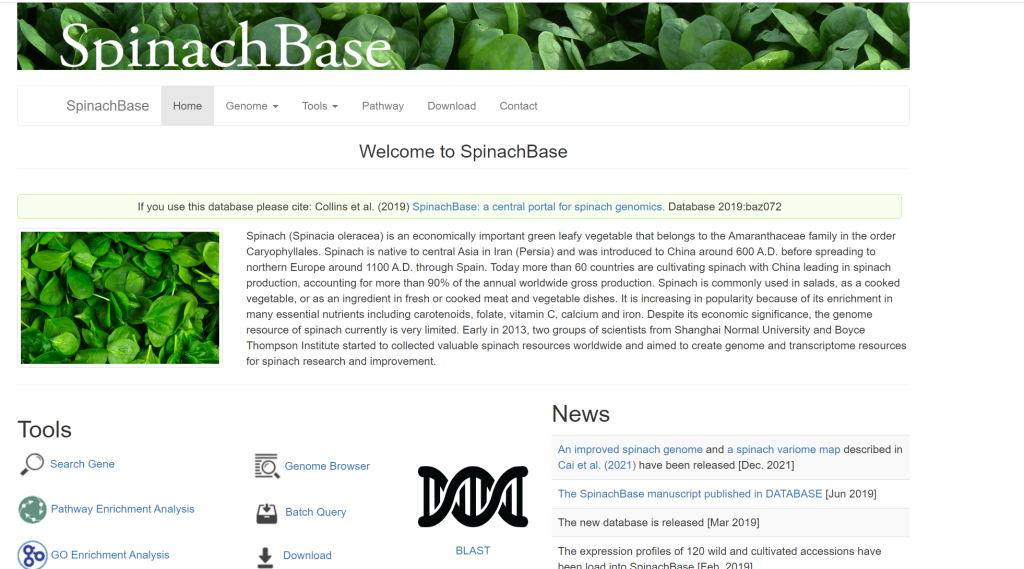 SpinachBase
