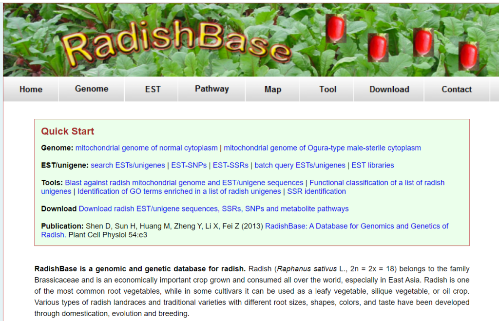 RadishBase